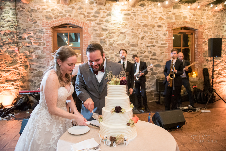 Cake Cutting Reception Stilwell Photography