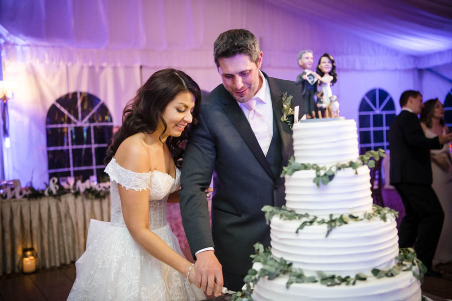 Cake Cutting West Hills NY Wedding